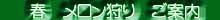 春季　メロン狩り　5/初～7/上